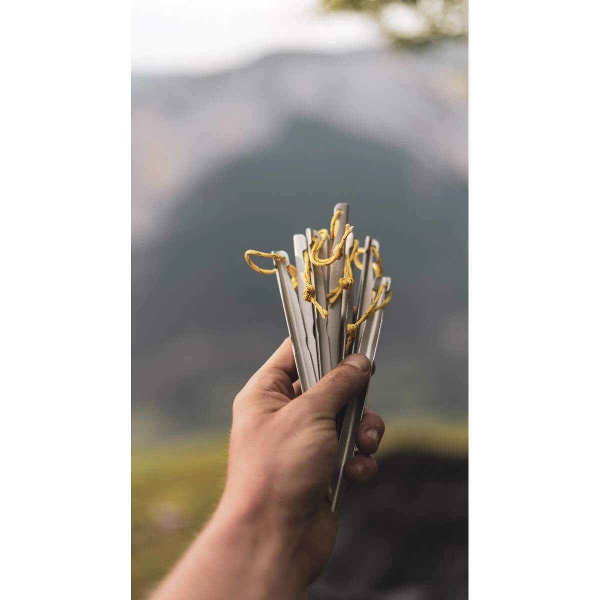 JAYA 2 4000 - JAMET 11 JAYA 2 4000 - JAMET – Image 9